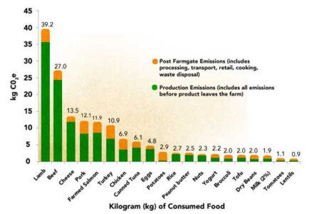 The Environmental Impact of Animal and Plant Protein Sources